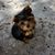 Sandie Richard's profile image