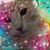 Rhonda Lolovich's profile image