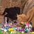 Dayna Cramer's profile image