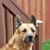 Ginger Johnson's profile image