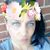 Valerie Anne's profile image