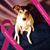 Heather Ziegelman's profile image