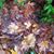 Moira Barben's profile image