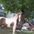 Connie Bailey's profile image