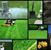 A LawnCare Southeastern's profile image