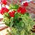 Kathy Adamec Miller's profile image