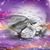 Kelly Skaggs's profile image