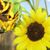 Karen Cox's profile image