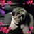Becky Kuhfeldt's profile image