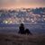 Elin Yeager's profile image