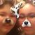 Juana Sanchez's profile image