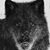 Daniel Fullmer's profile image