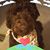 Nicole Bethell's profile image