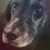Kaytie Keane's profile image
