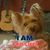 Bill Linda Runyon Lamb's profile image