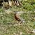 Sandy Paige's profile image