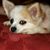 Donna Davis Underwood's profile image