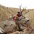 Jeff Bradshaw's profile image