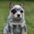 Jenny Scott's profile image