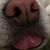 Windy Holt's profile image