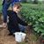 Leslie D Lee Merlucci's profile image