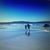 Suzanne Ray's profile image