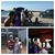 Angie Moreno Mireles's profile image