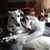 Heidi Schultz's profile image