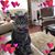 Susan Gray's profile image