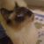 Marilynn Kendall's profile image