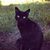 Samantha Holdaway's profile image
