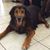 Sheldon Weingust's profile image
