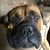 Teri Badeaux Guidry's profile image