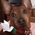Janet Clifton's profile image