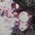 Roqui Rqmirez's profile image