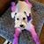 Beth Glenn - Himes's profile image