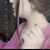 استبرق احمد's profile image