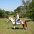 Donna Carothers Gregg's profile image