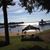 Deborah Lindner Thompson's profile image