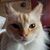 Diane Monroe's profile image