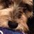Sheryl Lynn McQueen Freeman's profile image