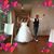 Alisa Maples's profile image