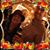 Phyllis Ann Friesen's profile image