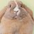 Sandra Lortie's profile image