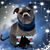 Sue Dep's profile image