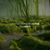 Harmony Nicholas-Conley's profile image