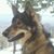 Pip Flanigan's profile image