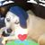 Deb Earhart's profile image
