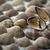 Susan Reeves Robinson's profile image