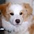 Bolinda Borders's profile image